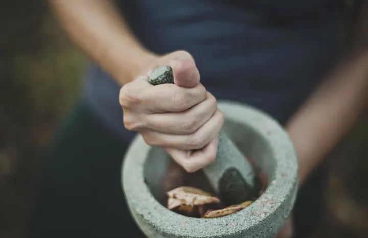 Grinding herbs with a stone mortar and pestle